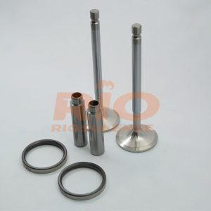 KIT DE VALVULA + GUIA + SEDE ADM DS11/DS11LB/DS11 L0 20 STD