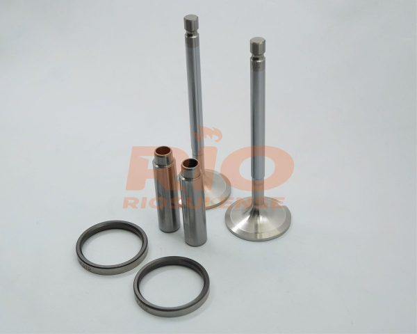 KIT DE VALVULA + GUIA + SEDE ADM DS11/DS11LB/DS11 L0 20 STD