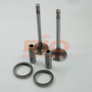 KIT DE VALVULA + GUIA + SEDE ESC 310T/410 (X10) STD