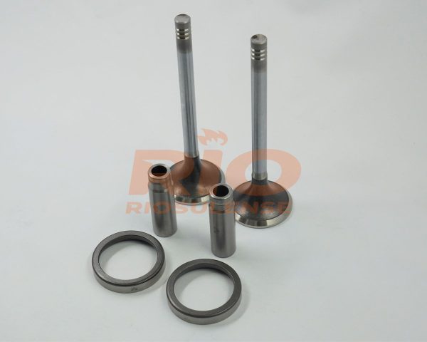 KIT DE VALVULA + GUIA + SEDE ESC 310T/410 (X10) STD