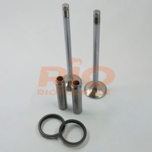 KIT DE VALVULA + GUIA + SEDE ESC DC13 24V EURO 5 30 STD