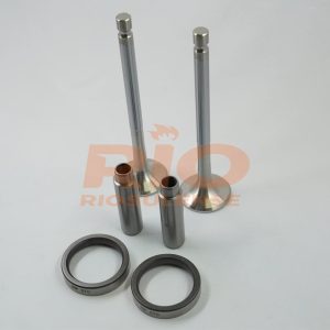 KIT DE VALVULA + GUIA + SEDE ESC DN 11/DSC 11 / DSC 14 STD