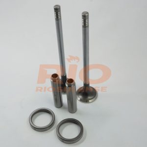 KIT DE VALVULA + GUIA + SEDE ESC SERIE 4 DSC12 STD