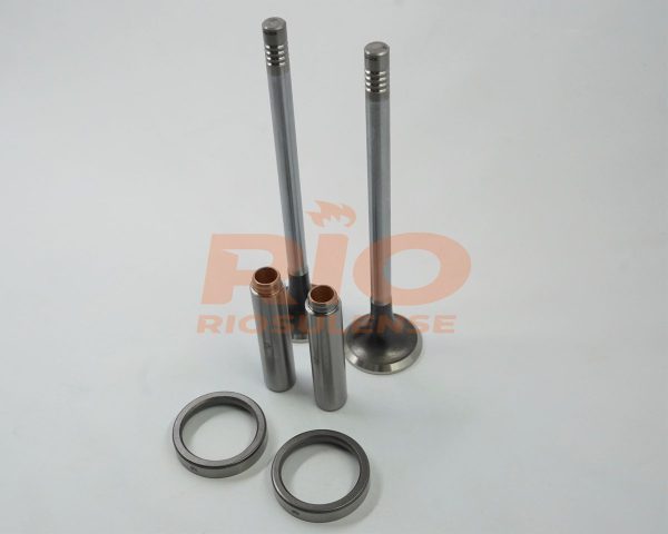 KIT DE VALVULA + GUIA + SEDE ESC SERIE 4 DSC12 STD