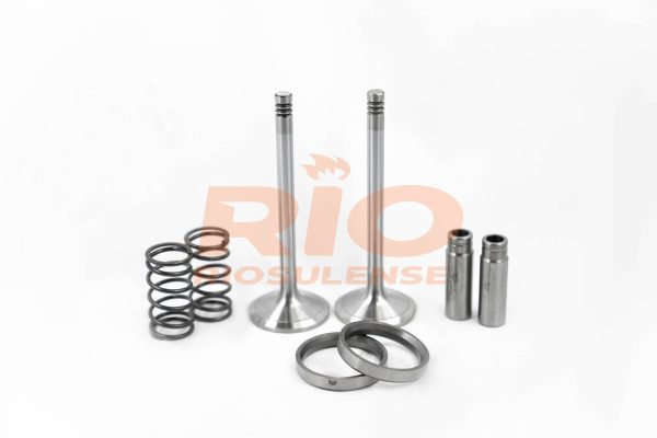 KIT DE VALVULA + GUIA + SEDE + MOLA ADM 310/410 (X10) STD